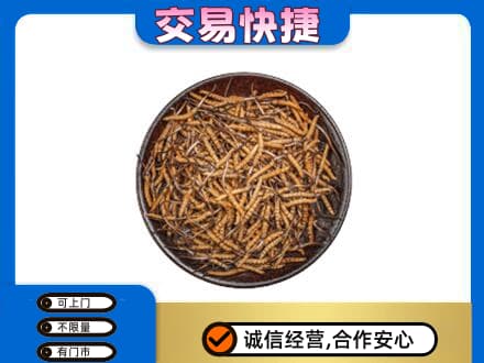 通化柳河县高价回收散虫草